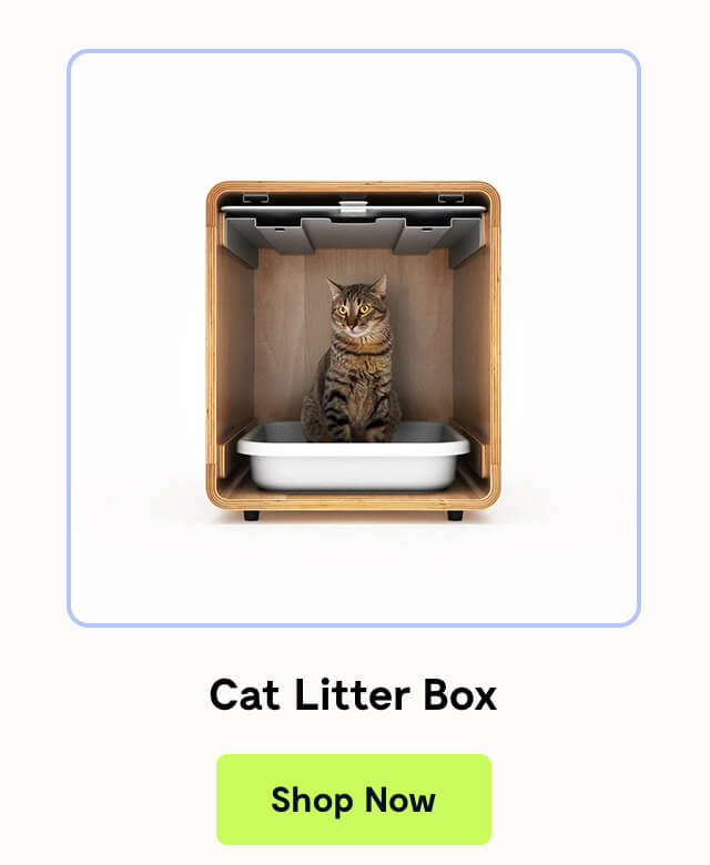 Cat Litter Box