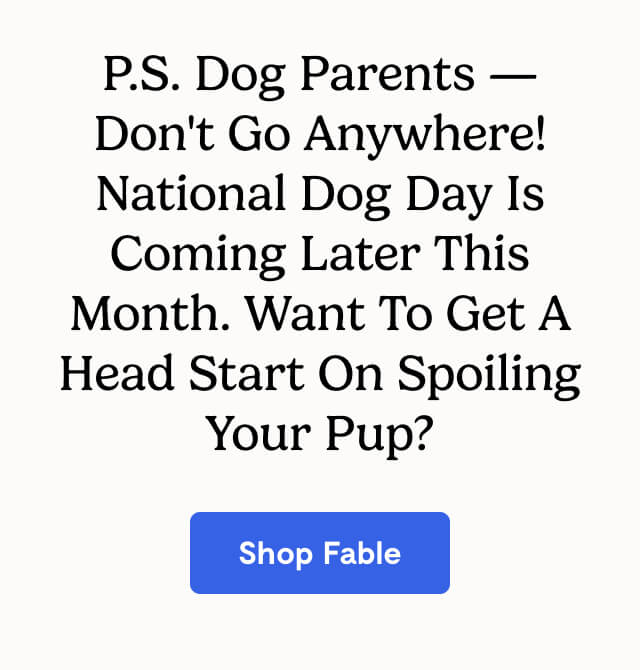 P.S. Dog parents — don't go anywhere! National Dog Day is coming later this month. Want to get a head start on spoiling your pup?