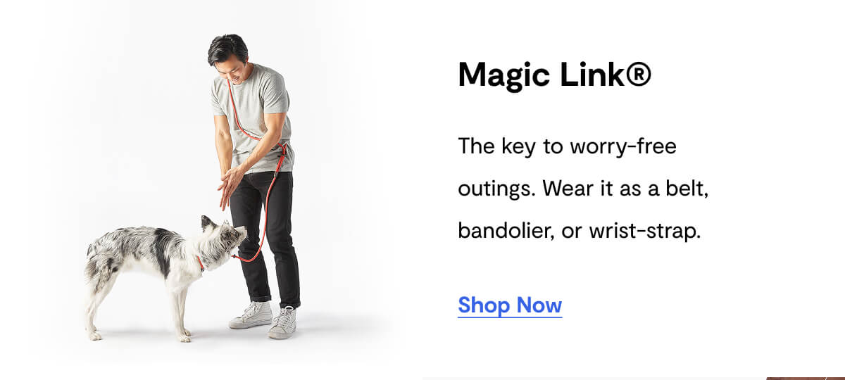 Magic Link®