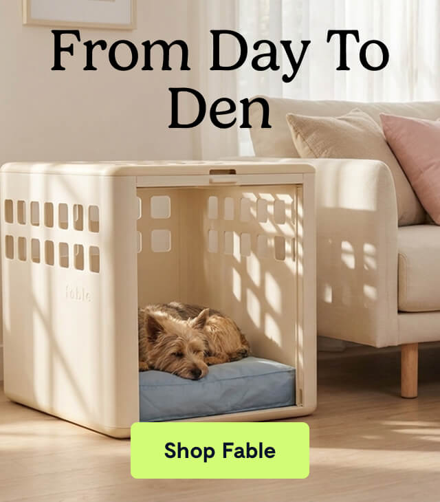 From Day to Den