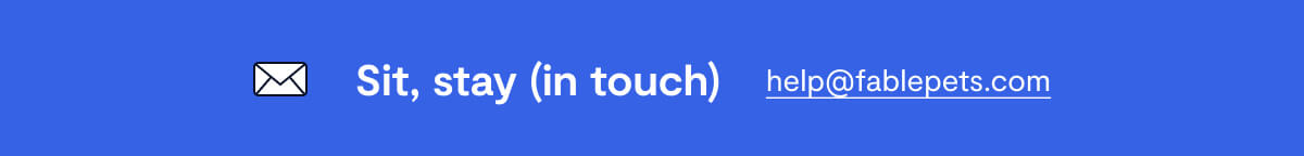 Sit, Stay (In Touch)
