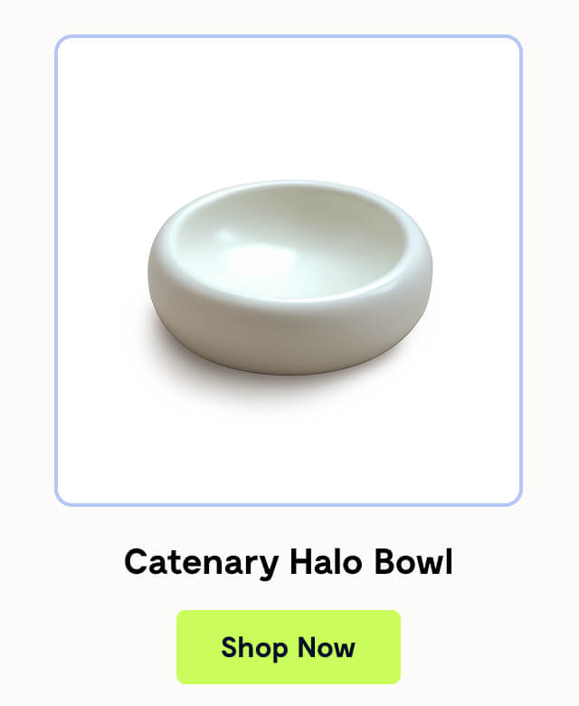 Catenary Halo Bowl