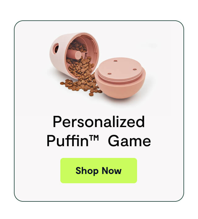 Personalized Puffin™ Game