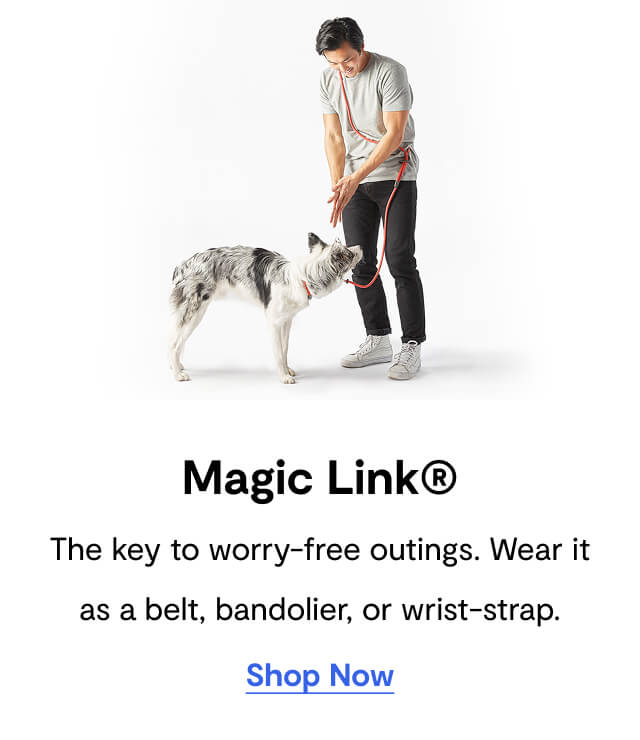 Magic Link®