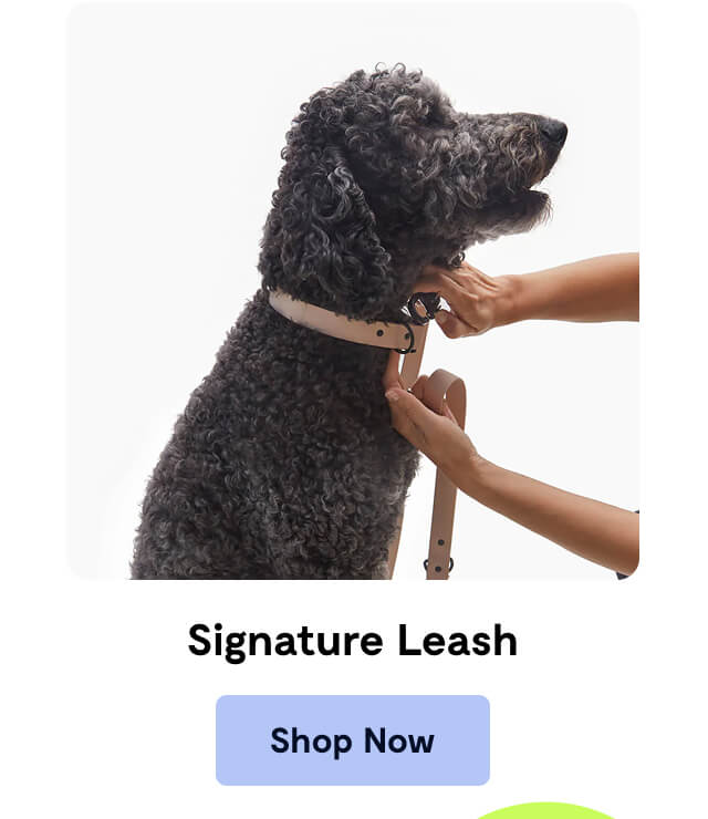 Signature Leash