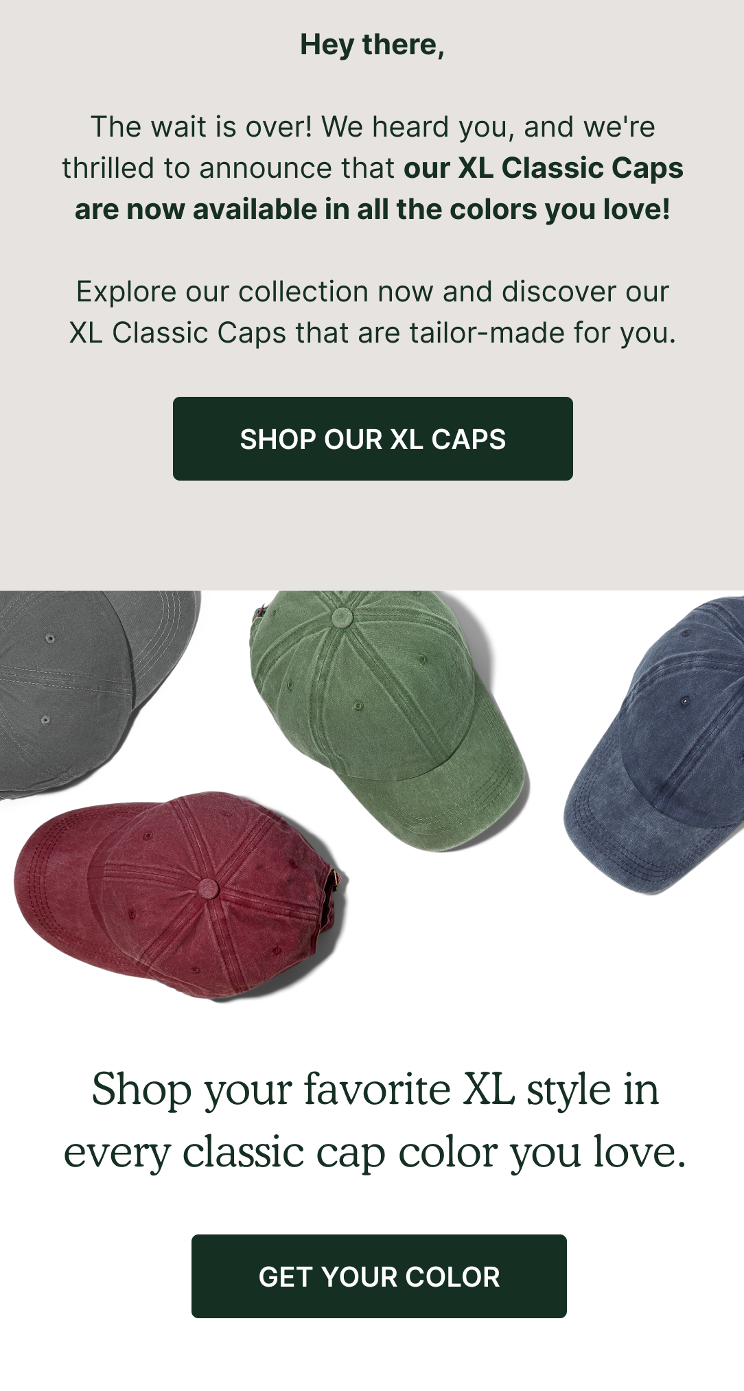 Classic Cap XL Alert They Are Here Lift Down Hats