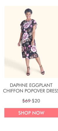 DAPHNE EGGPLANT CHIFFON POPOVER DRESS  $69 $20 SHOP NOW