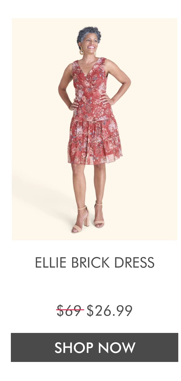 Ellie Brick Dress $69 $21. SHOP NOW