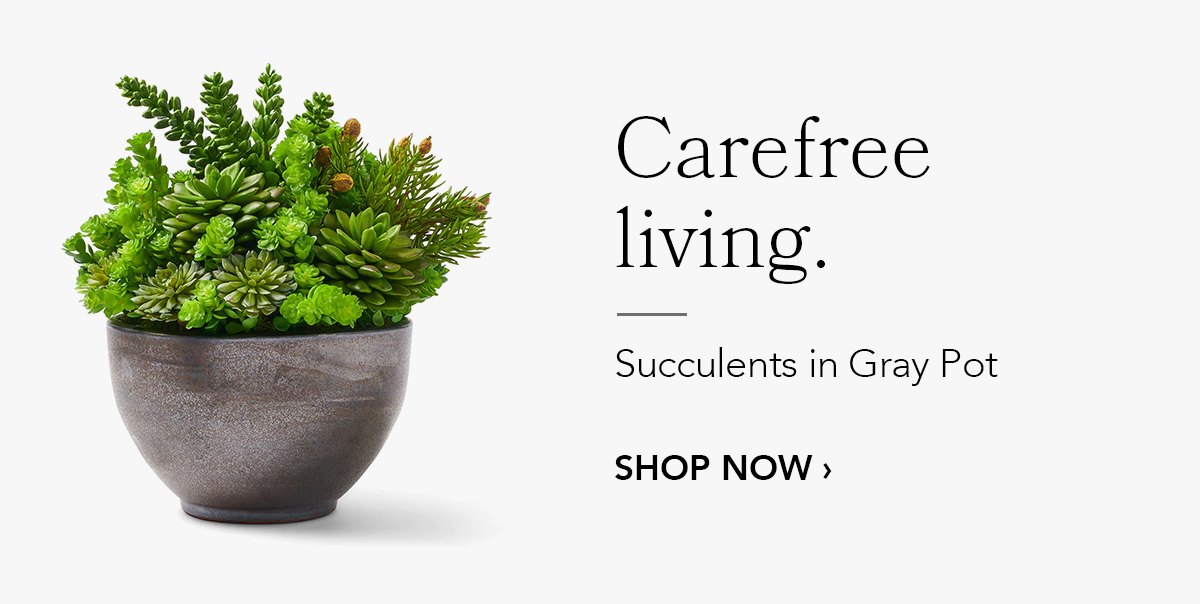 Succulents in Gray Pot