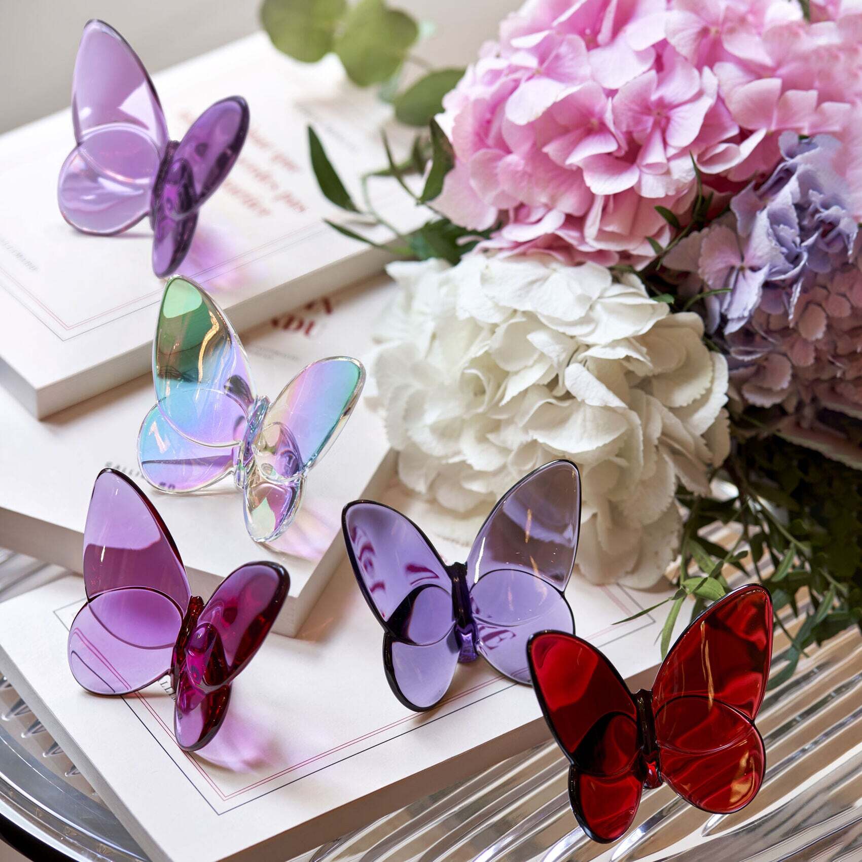 Butterflies