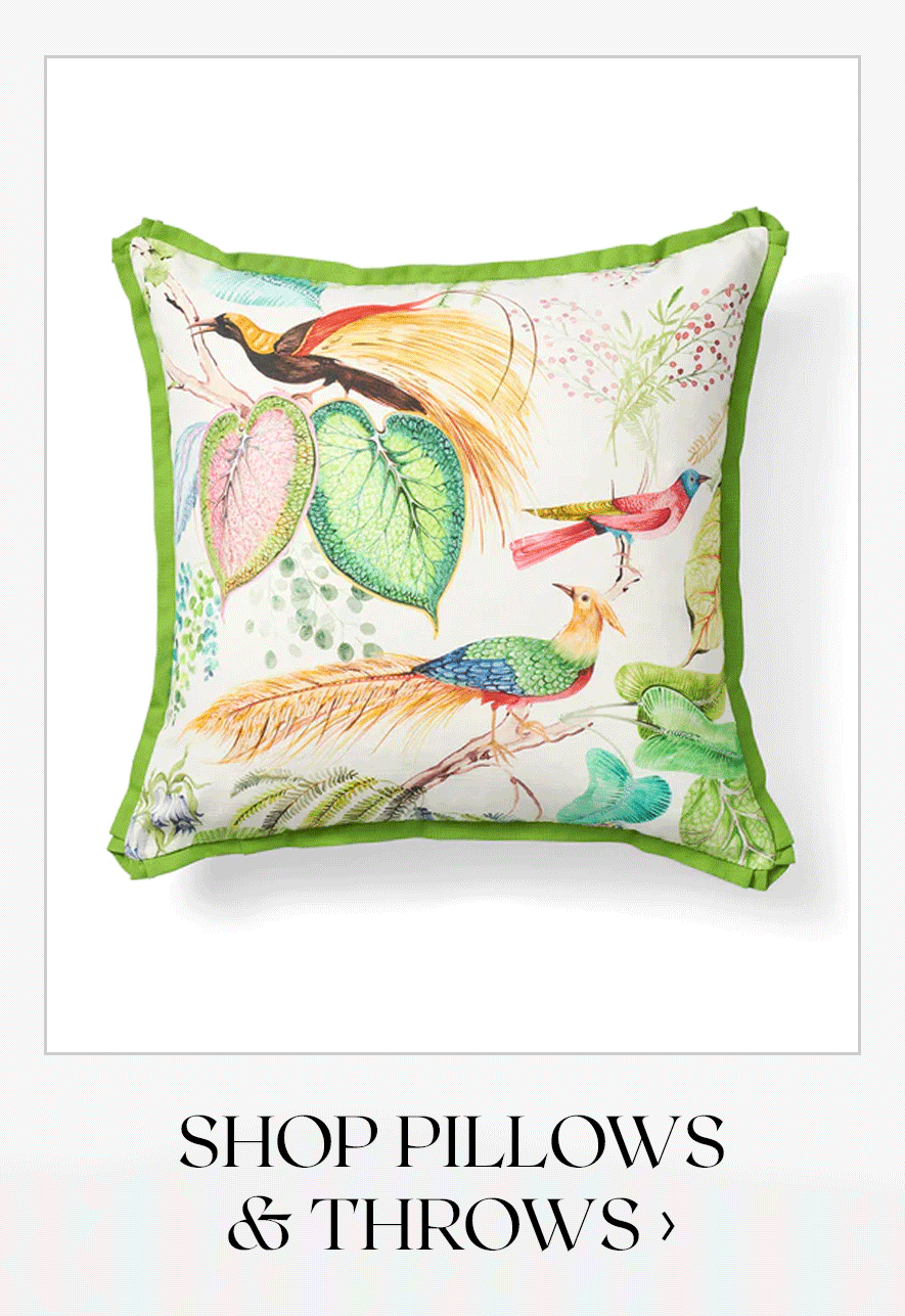 Shop Pillows & Throws