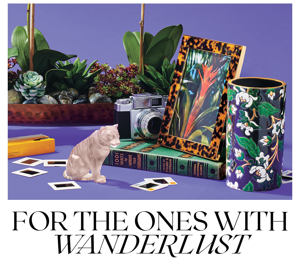 For the ones with wanderlust