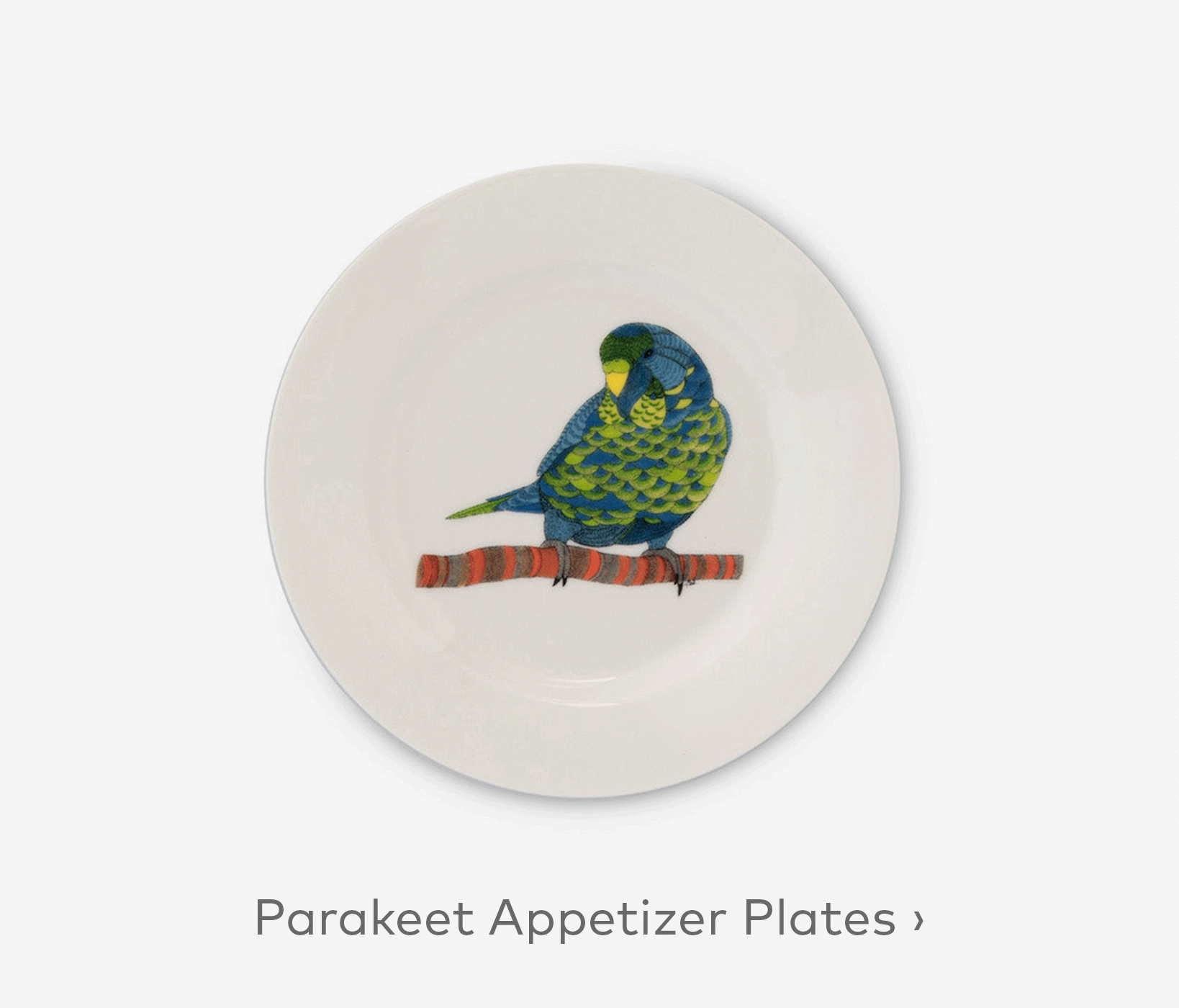 Parakeet Appetizer Plates, Set of 6