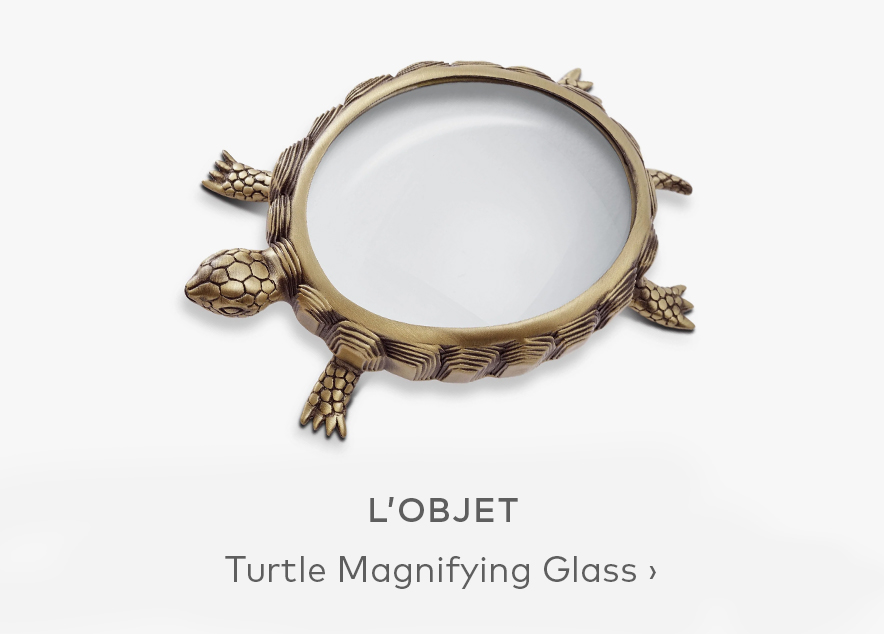 L'OBJET Turtle Magnifying Glass