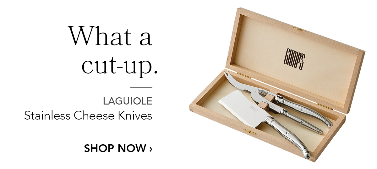 LAGUIOLE Stainless Cheese Knives