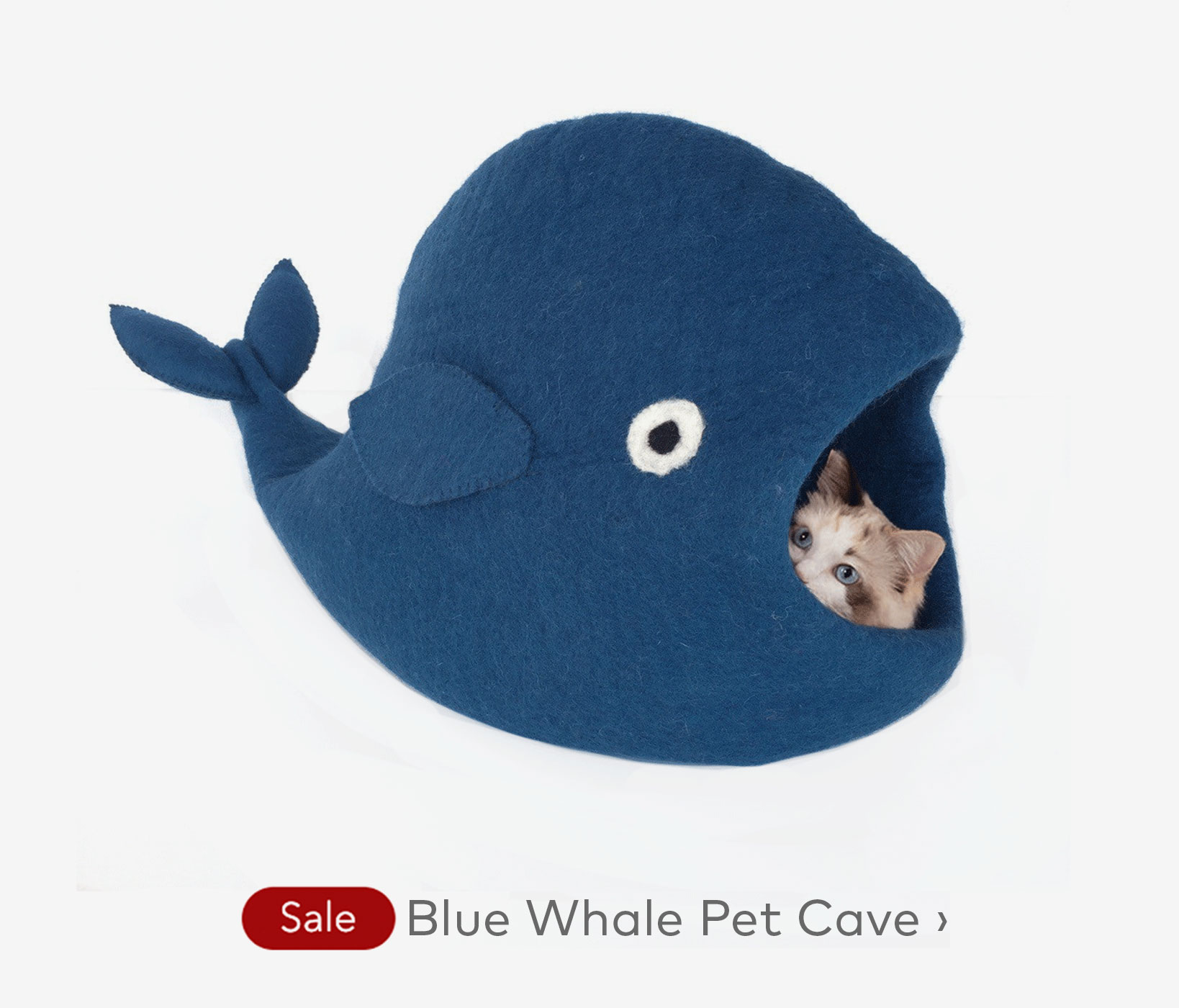 Blue Whale Pet Cave