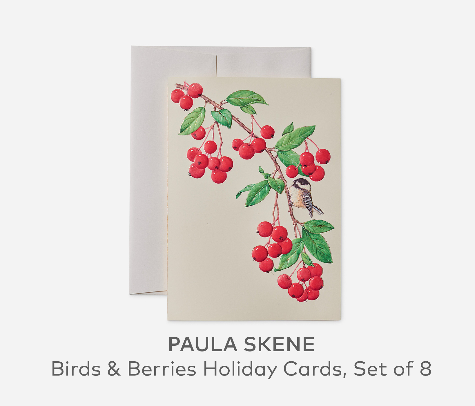 PAULA SKENE Birds & Berries Holiday Cards, Set of 8