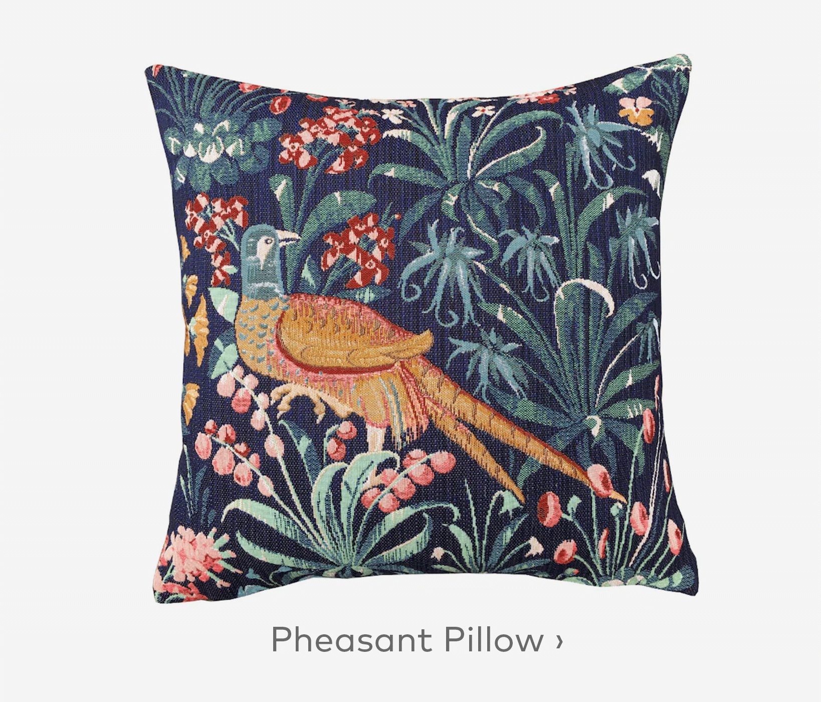 Pheasant Pillow
