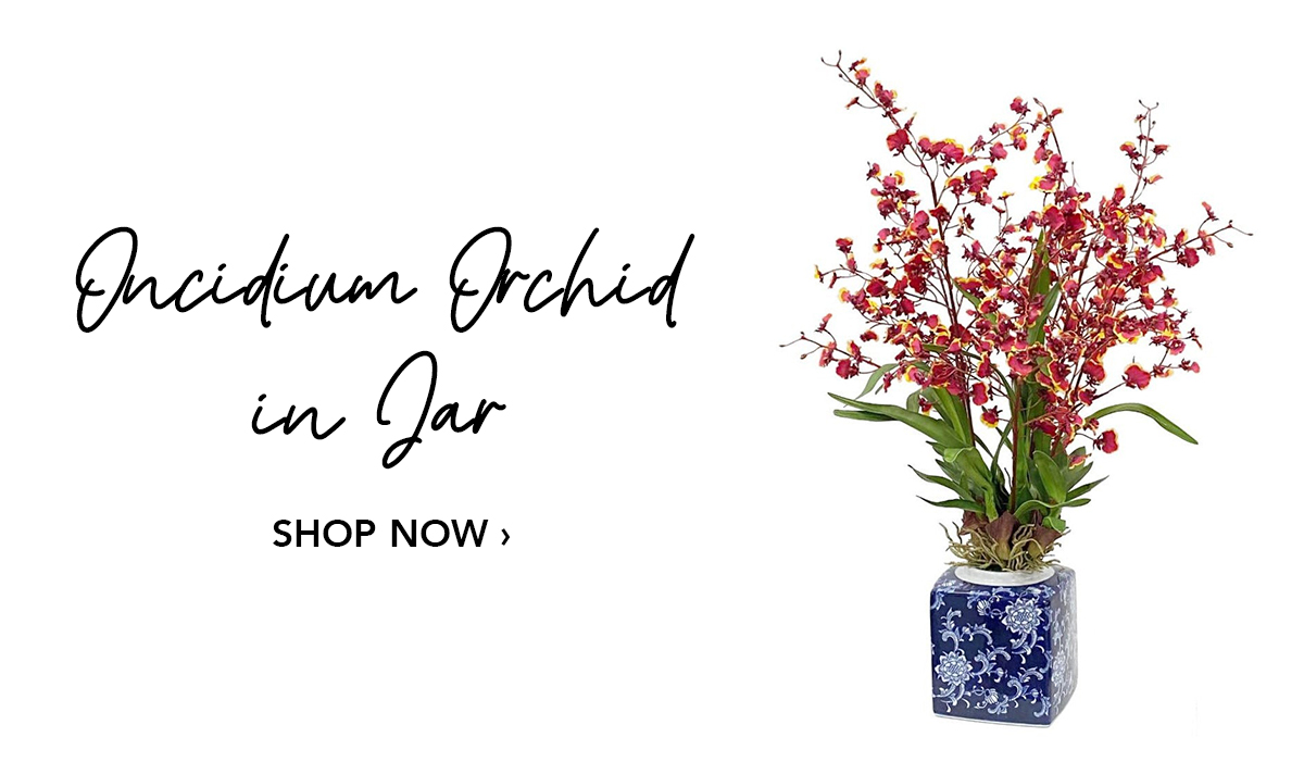 Oncidium Orchid in Jar