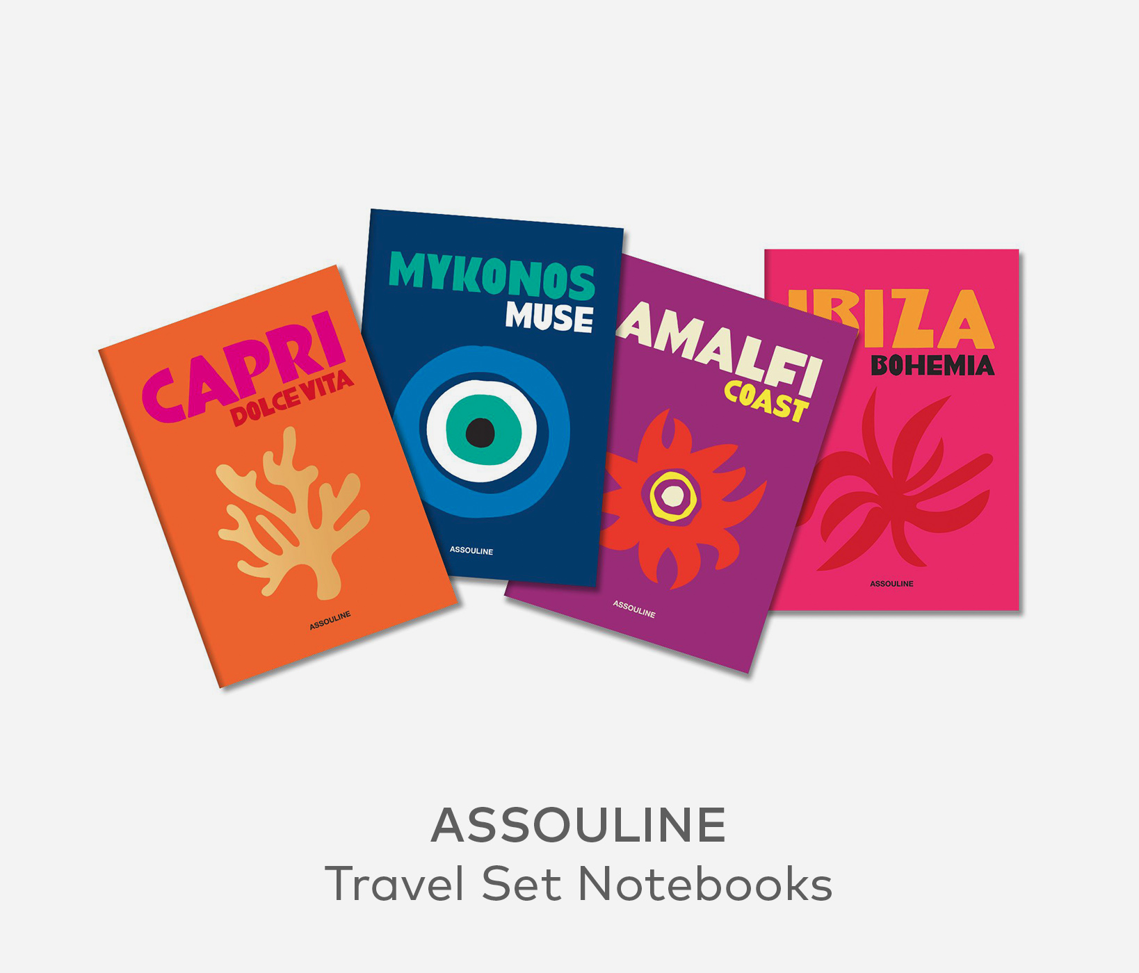 ASSOULINE Travel Set Notebooks