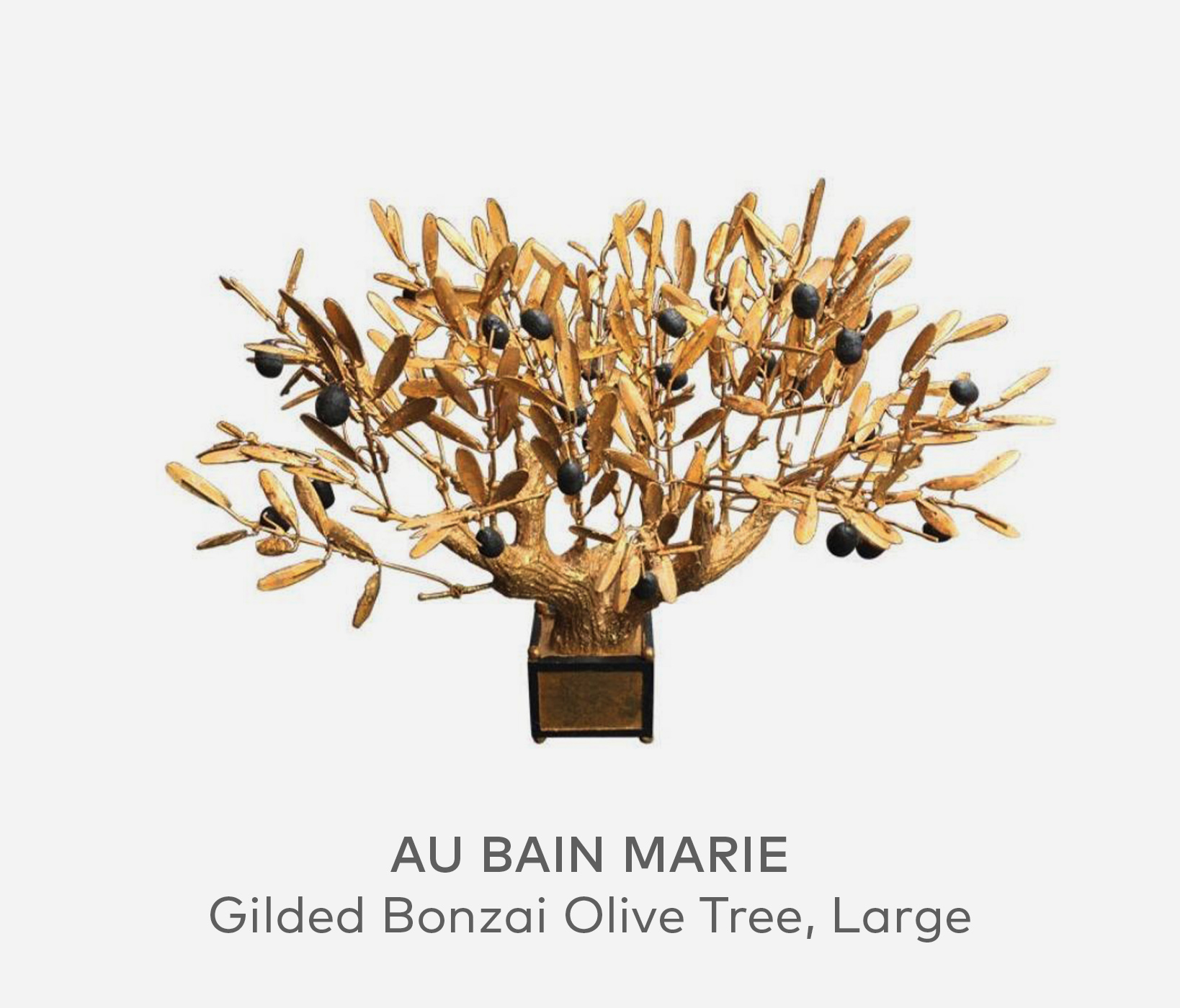 AU BAIN MARIE Gilded Bonzai Olive Tree, Large