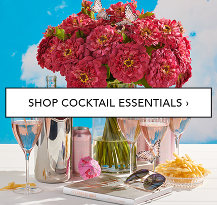 Shop Cocktail Essentials