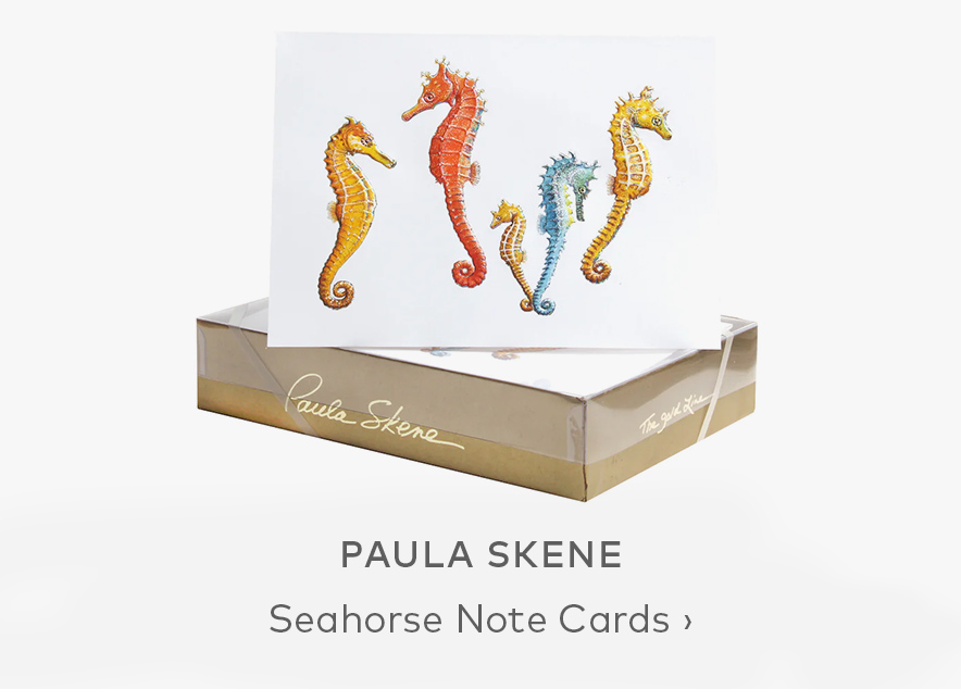 PAULA SKENE Seahorse Note Cards
