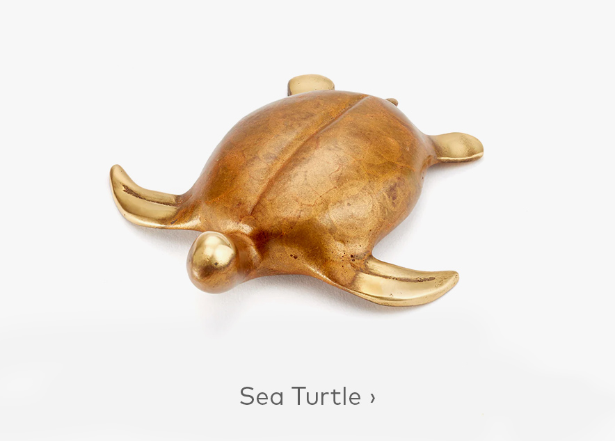 Sea Turtle