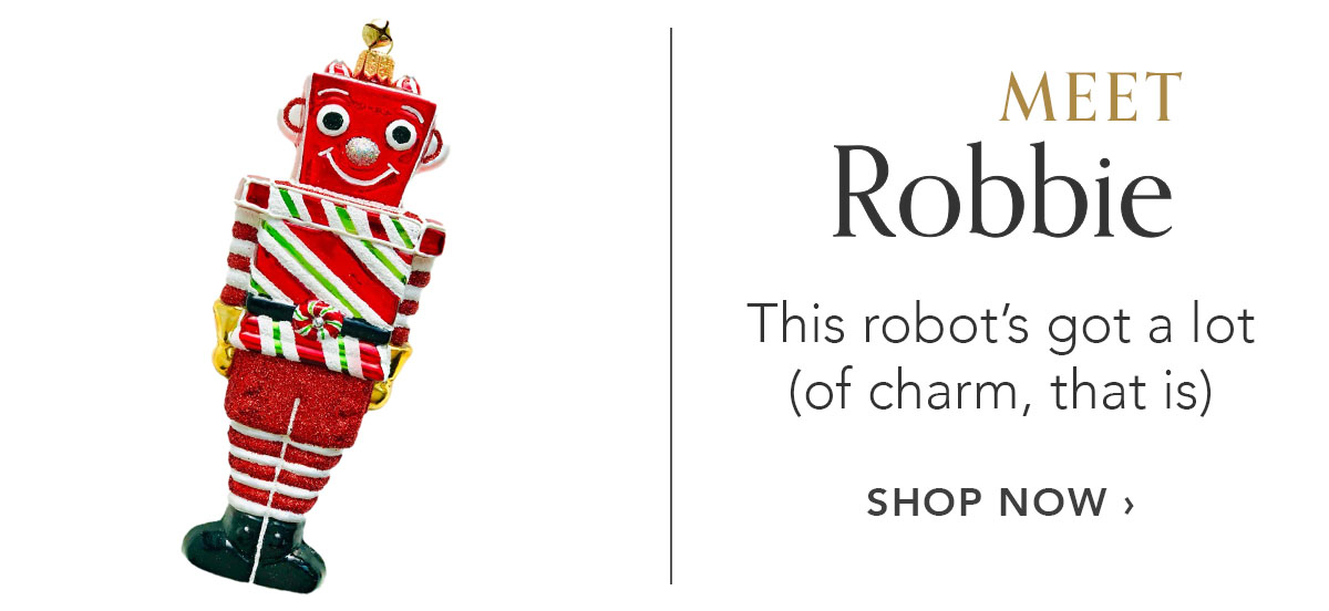 Meet Robbie