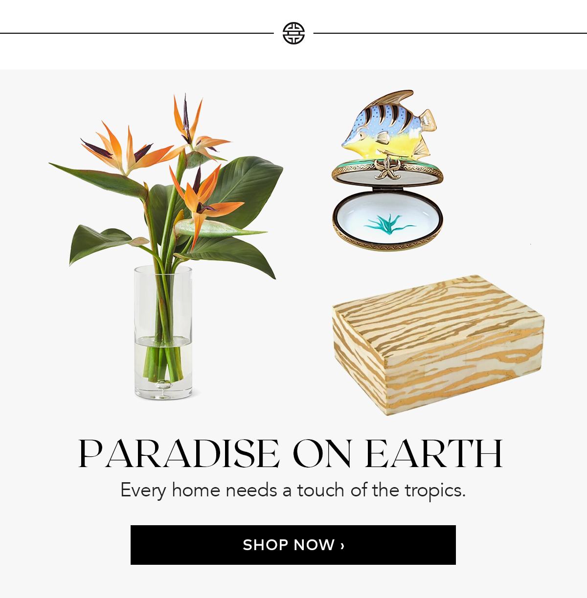 Paradise on Earth
