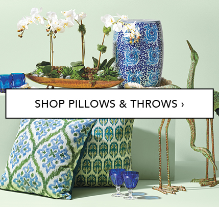 Shop Pillows & Throws