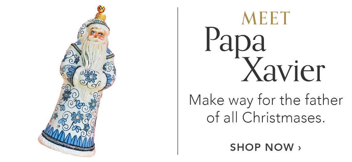 Meet Papa Xavier