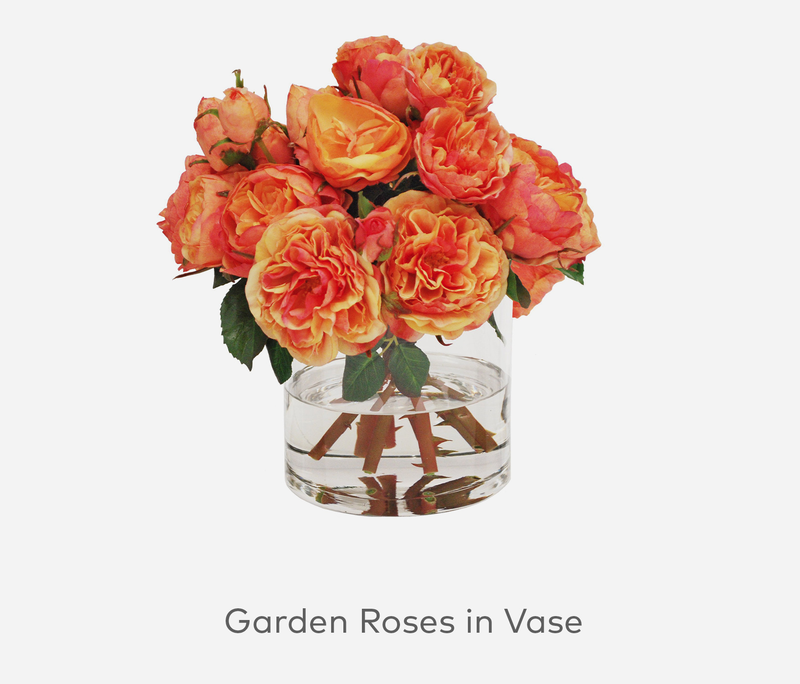 Garden Roses in Vase