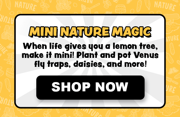 Mini Nature Magic - When life gives you a lemon tree, make it mini! Plant and pot Venus flytraps, daisies, and more! Shop now.