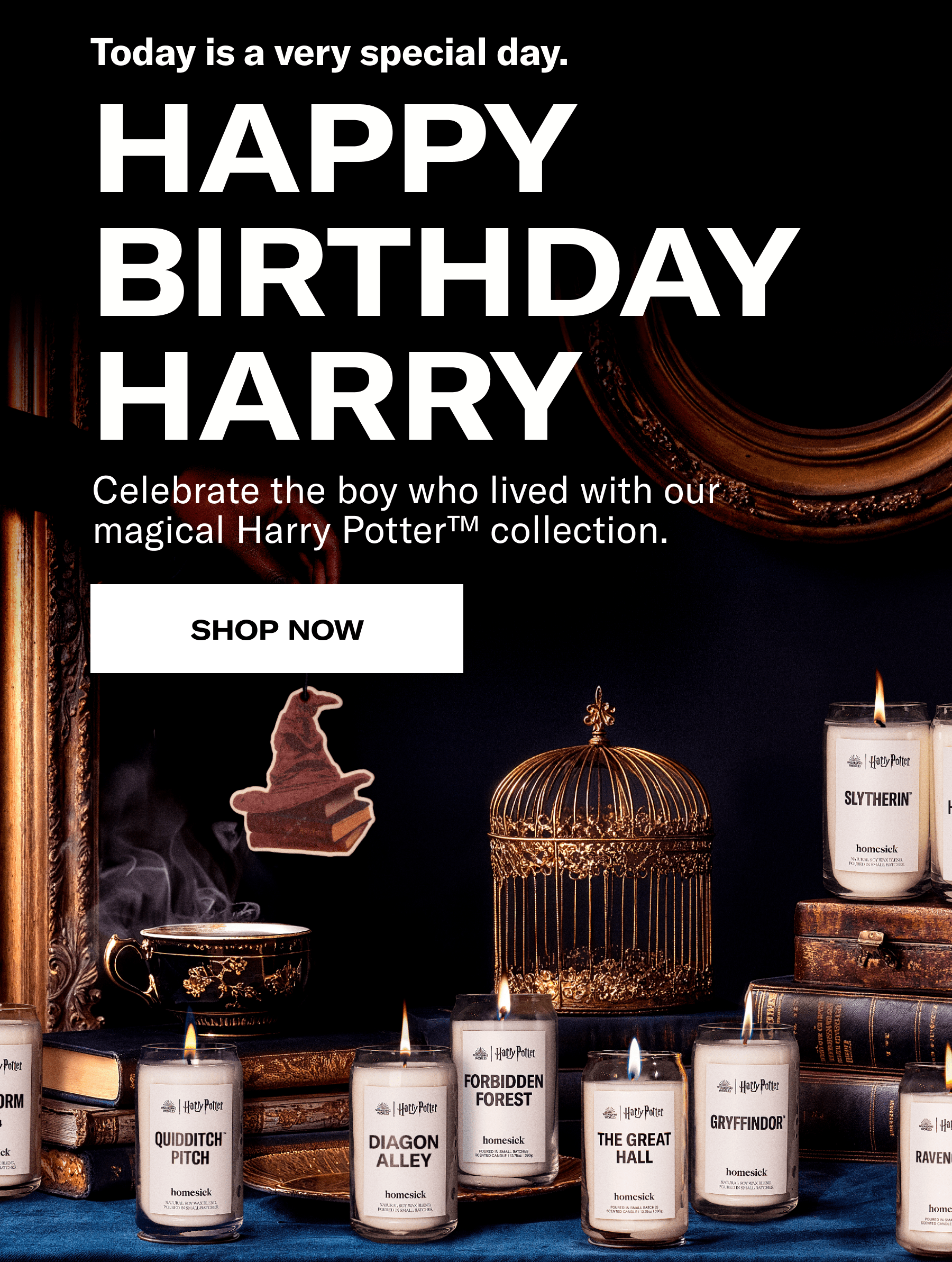 Today is a very special day. | Happy birthday Harry | Celebrate the boy who lived with our magical Harry Potter™ collection. | Shop now