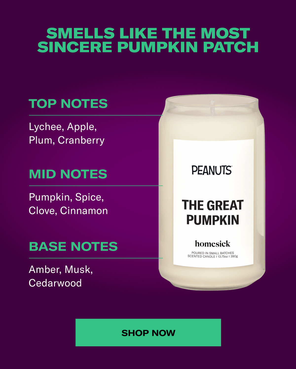 Smells like the most sincere pumpkin patch | Top Notes - Lychee, Apple, Plum, Cranberry | Mid Notes - Pumpkin, Spice, Clove, Cinnamon | Base Notes - Amber, Musk, Cedarwood | Shop Now