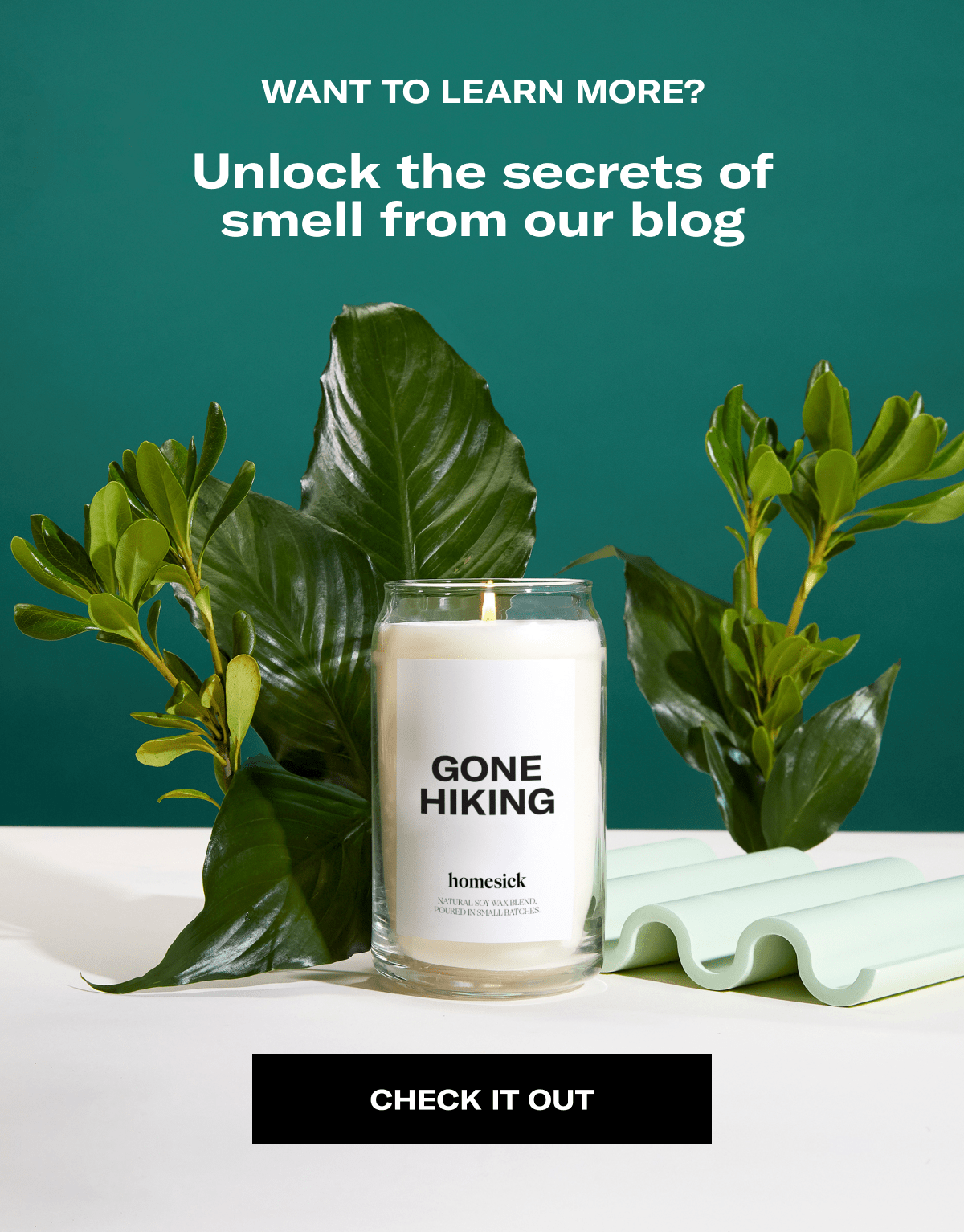Want to learn more? | Unlock the secrets of smell from our blog | Check it Out