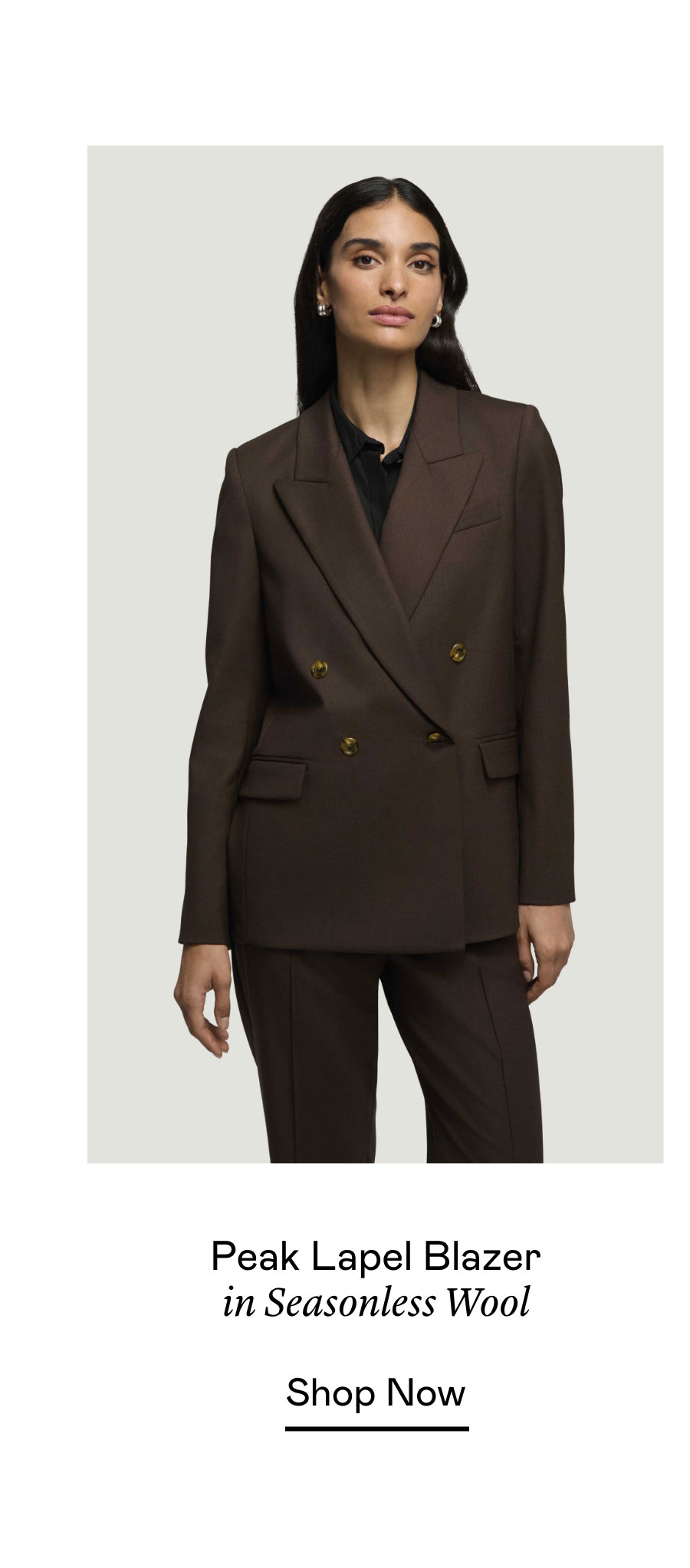 Peak Lapel Blazer in Seasonless Wool Peak Lapel Blazer in Seasonless Wool