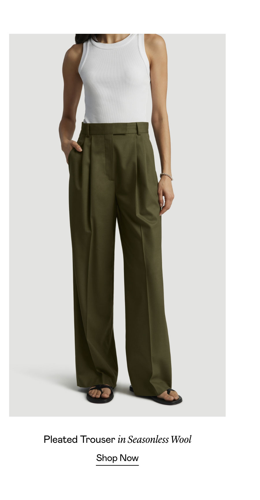Pleated Trouser in Seasonless Wool