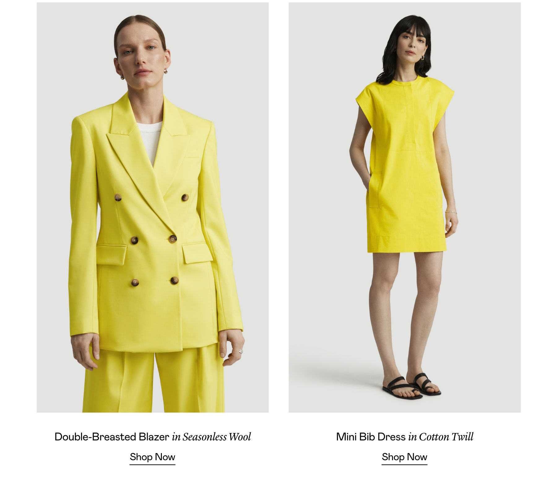 Shop Lemon