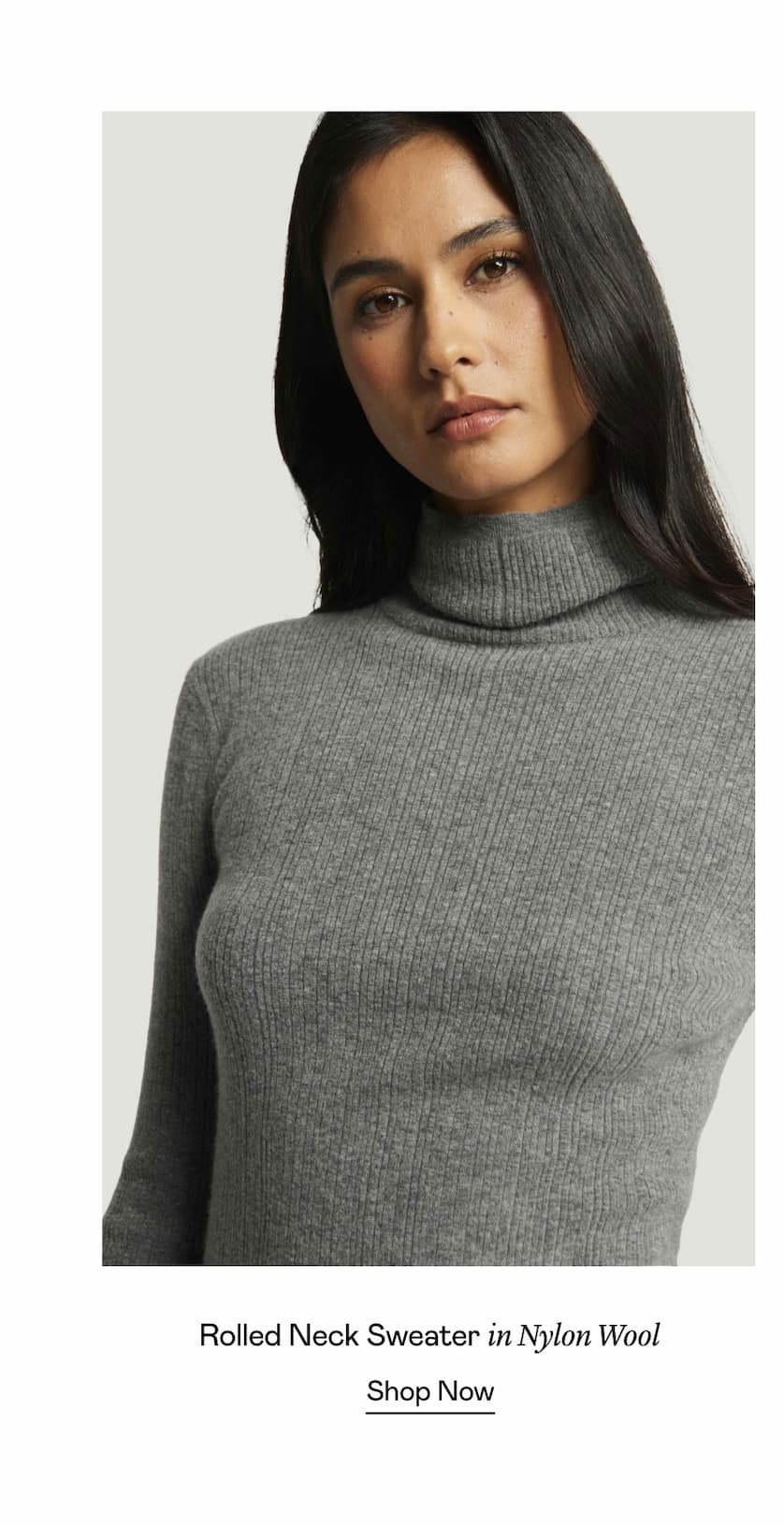 Rolled Neck Sweater in Nylon Wool