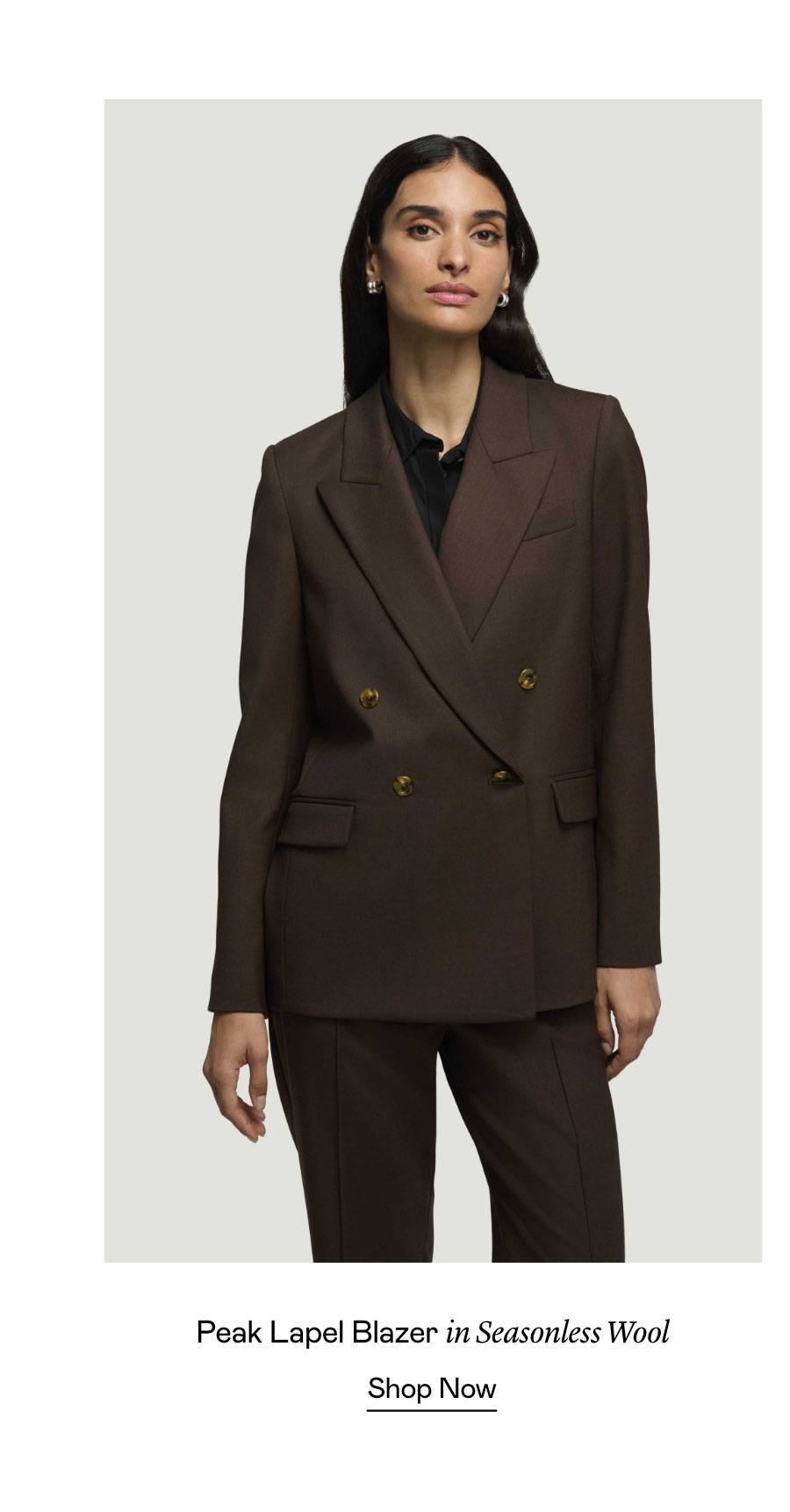 Peak Lapel Blazer in Seasonless Wool Peak Lapel Blazer in Seasonless Wool