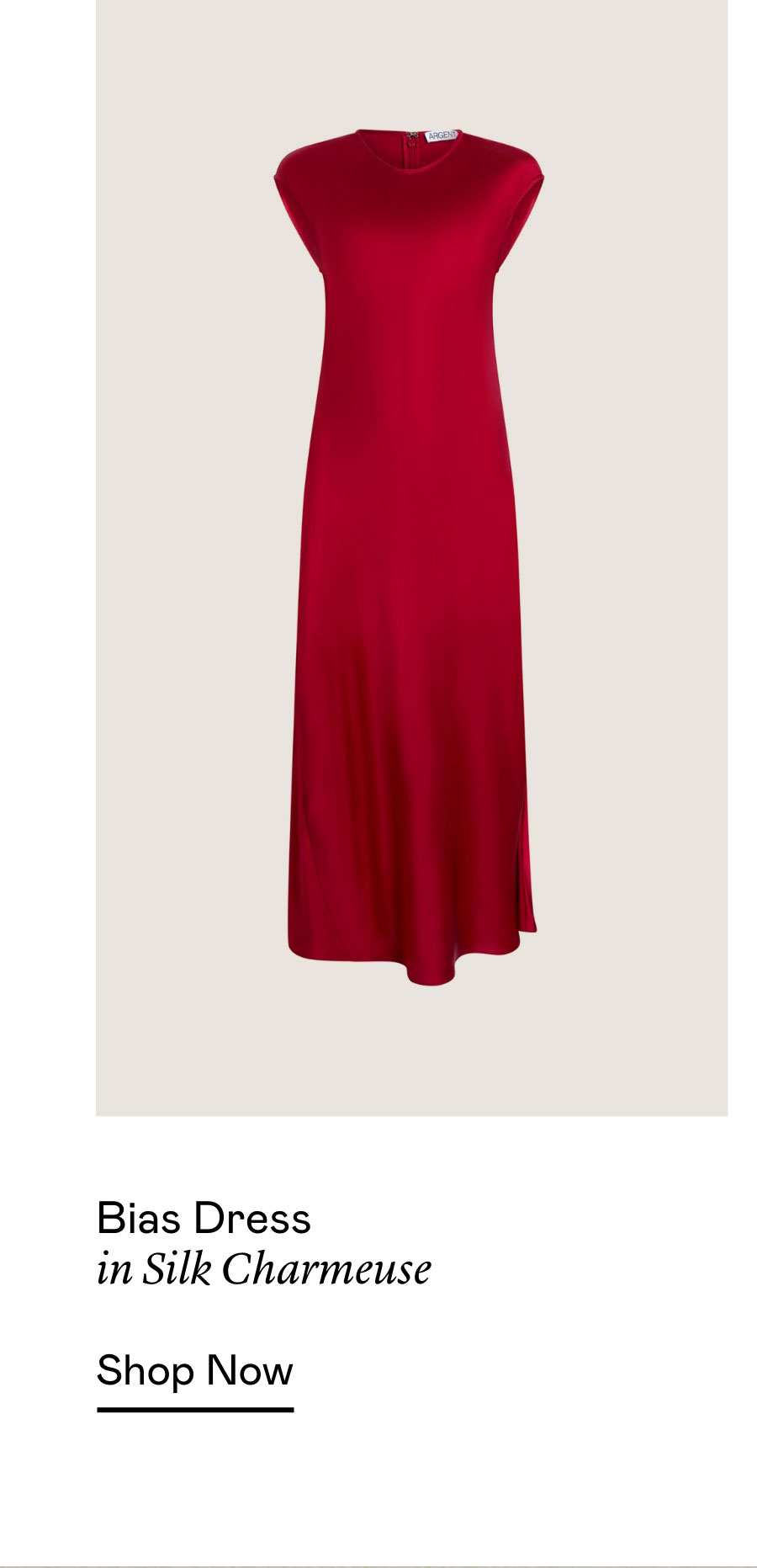 Bias Dress in Silk Charmeuse