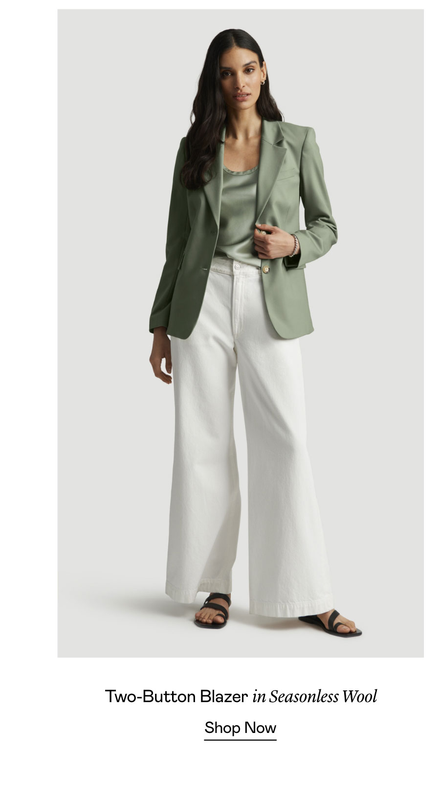 Two-Button Blazer in Seasonless Wool