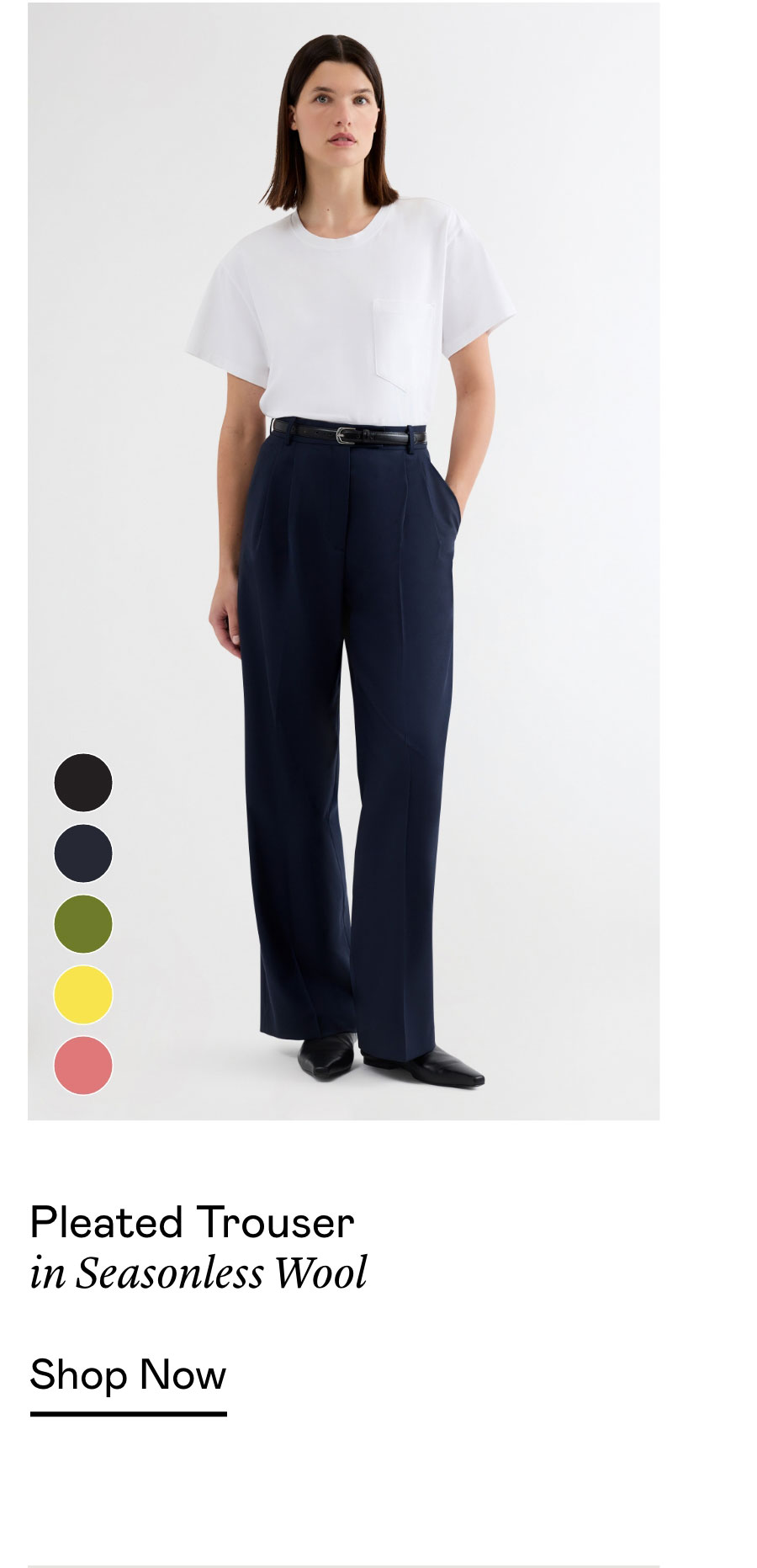 Pleated Trouser in Seasonless Wool Pleated Trouser in Seasonless Wool
