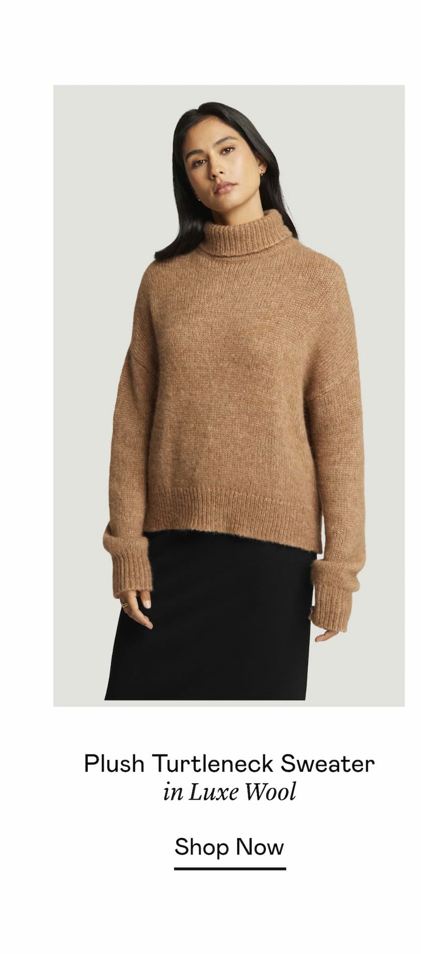 Plush Turtleneck Sweater in Luxe Wool Plush Turtleneck Sweater in Luxe Wool