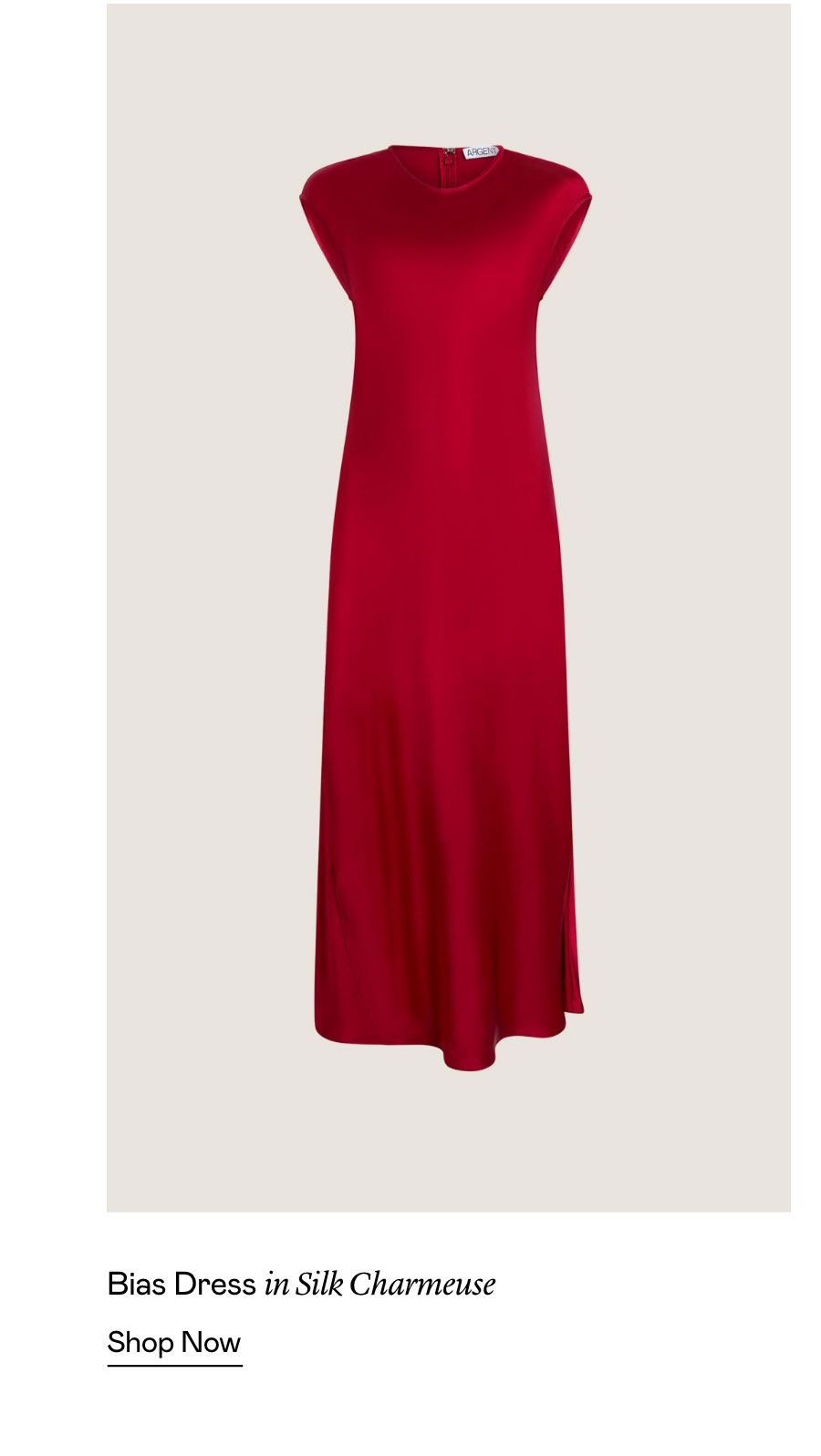 Bias Dress in Silk Charmeuse