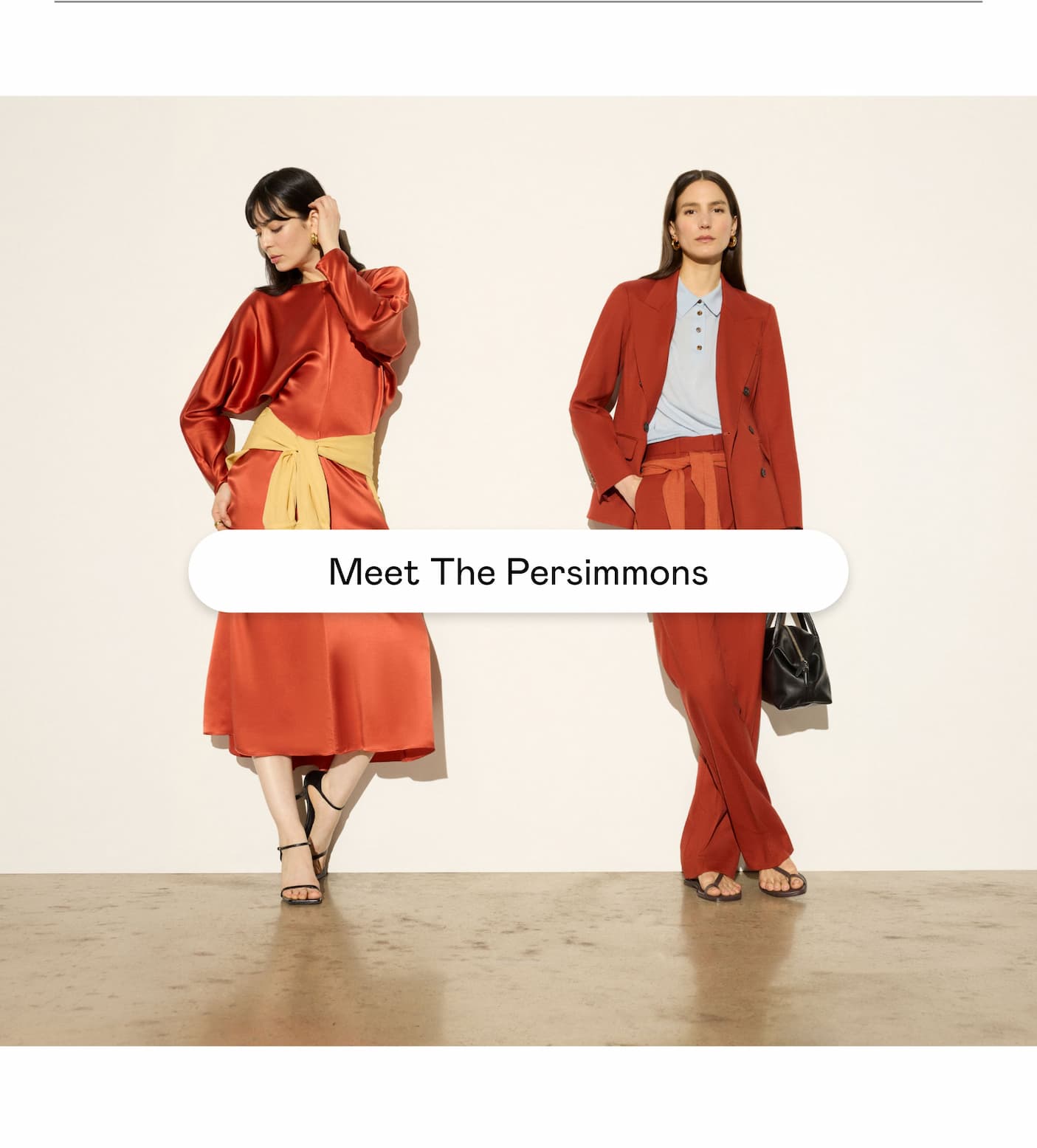 Meet The Persimmons Meet The Persimmons