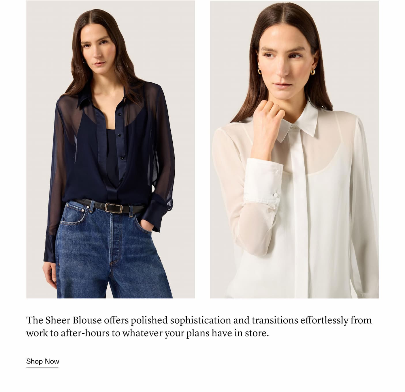 The Sheer Blouse offers polished sophistication and transitions effortlessly from work to after-hours to whatever your plans have in store.