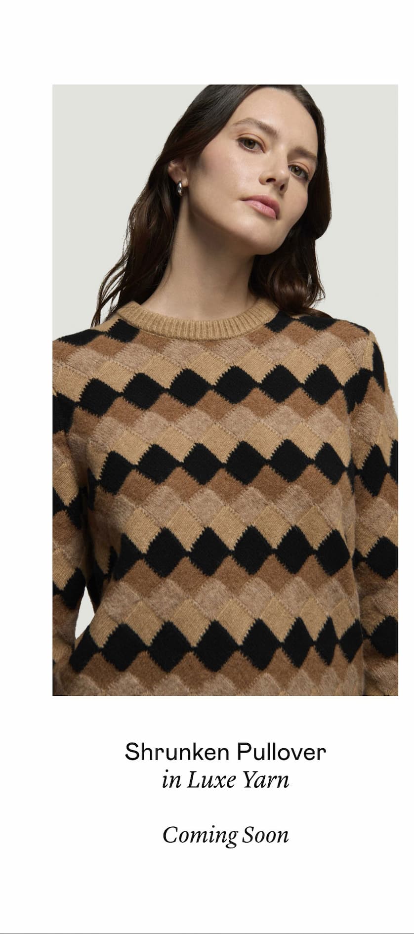 Shrunken Pullover in Luxe Yarn Shrunken Pullover in Luxe Yarn